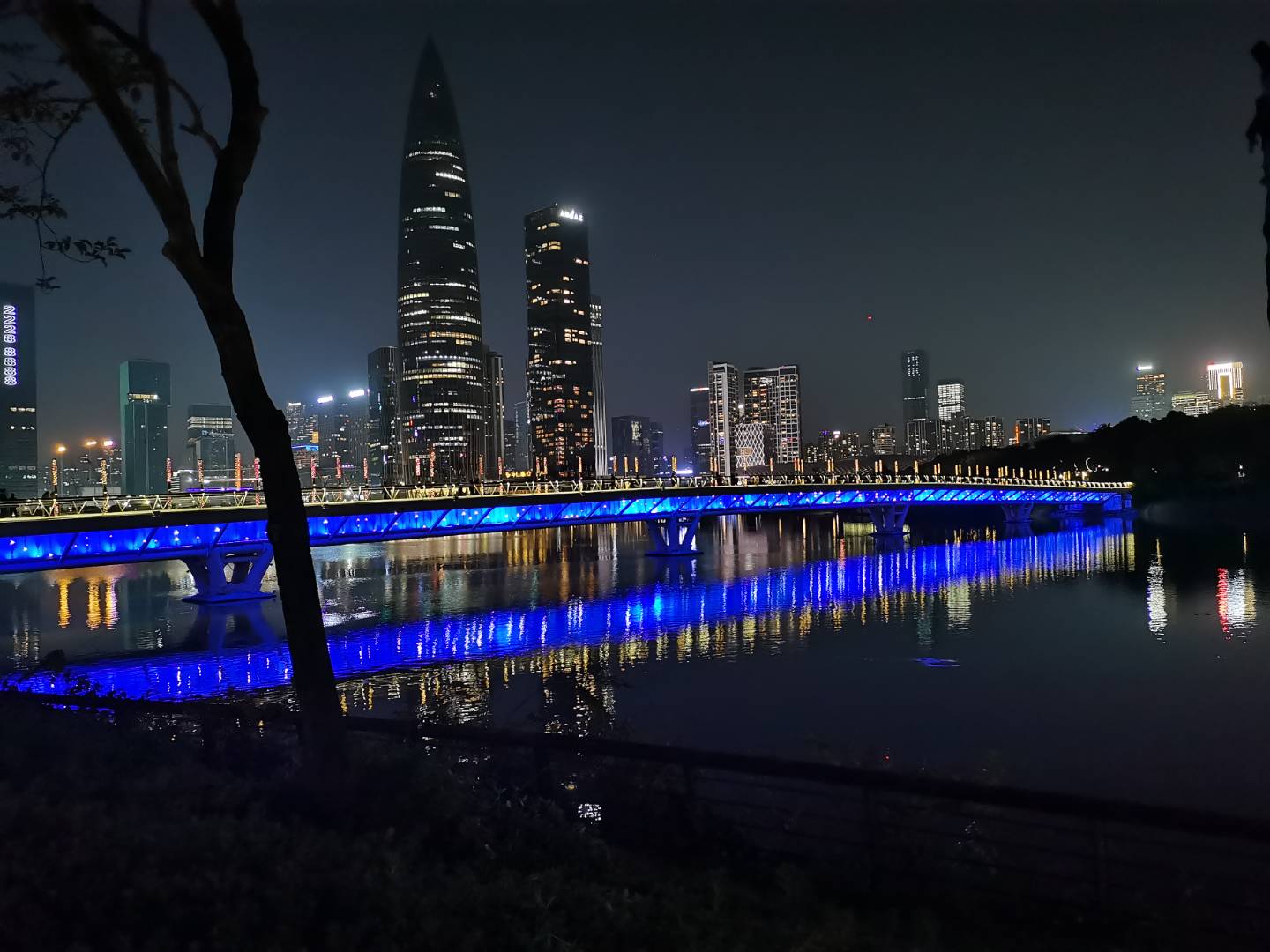 深圳湾人才公园的大桥灯光